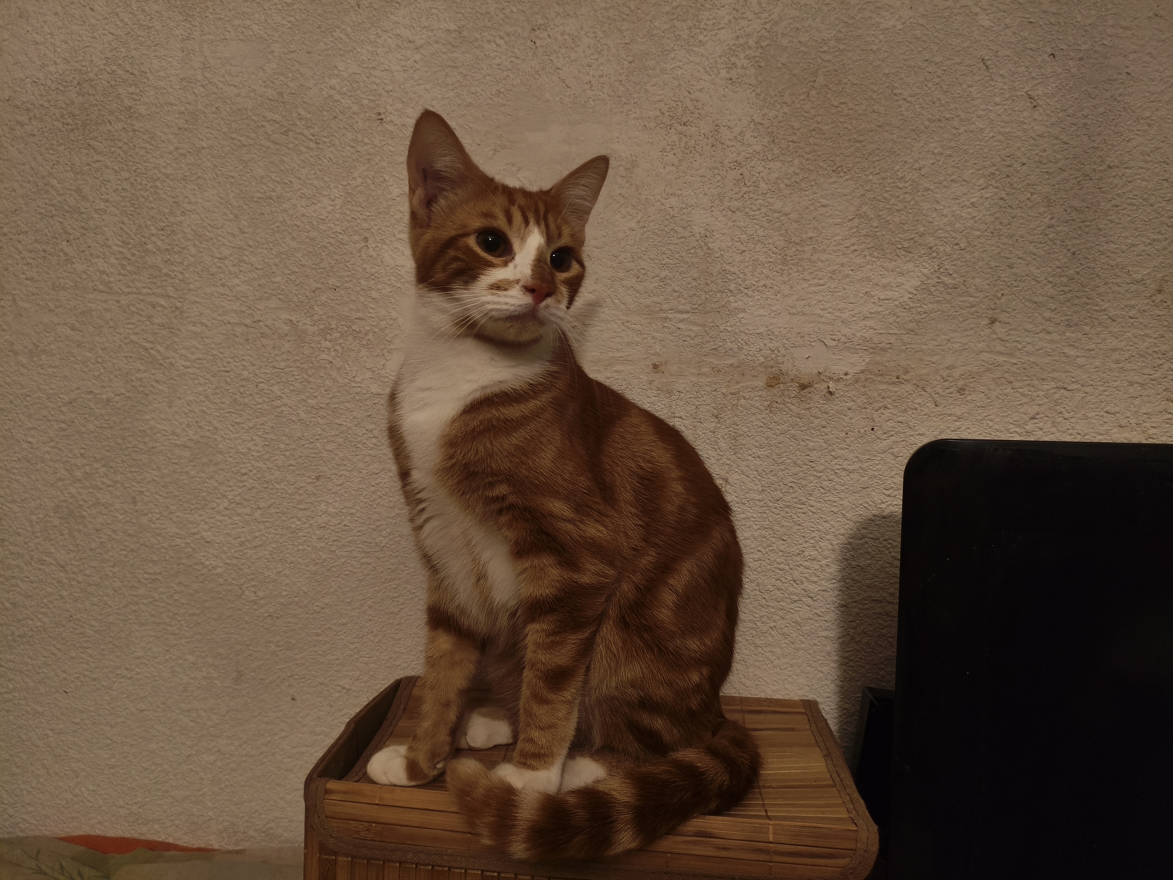 AKEKO 14/05/26 adopté