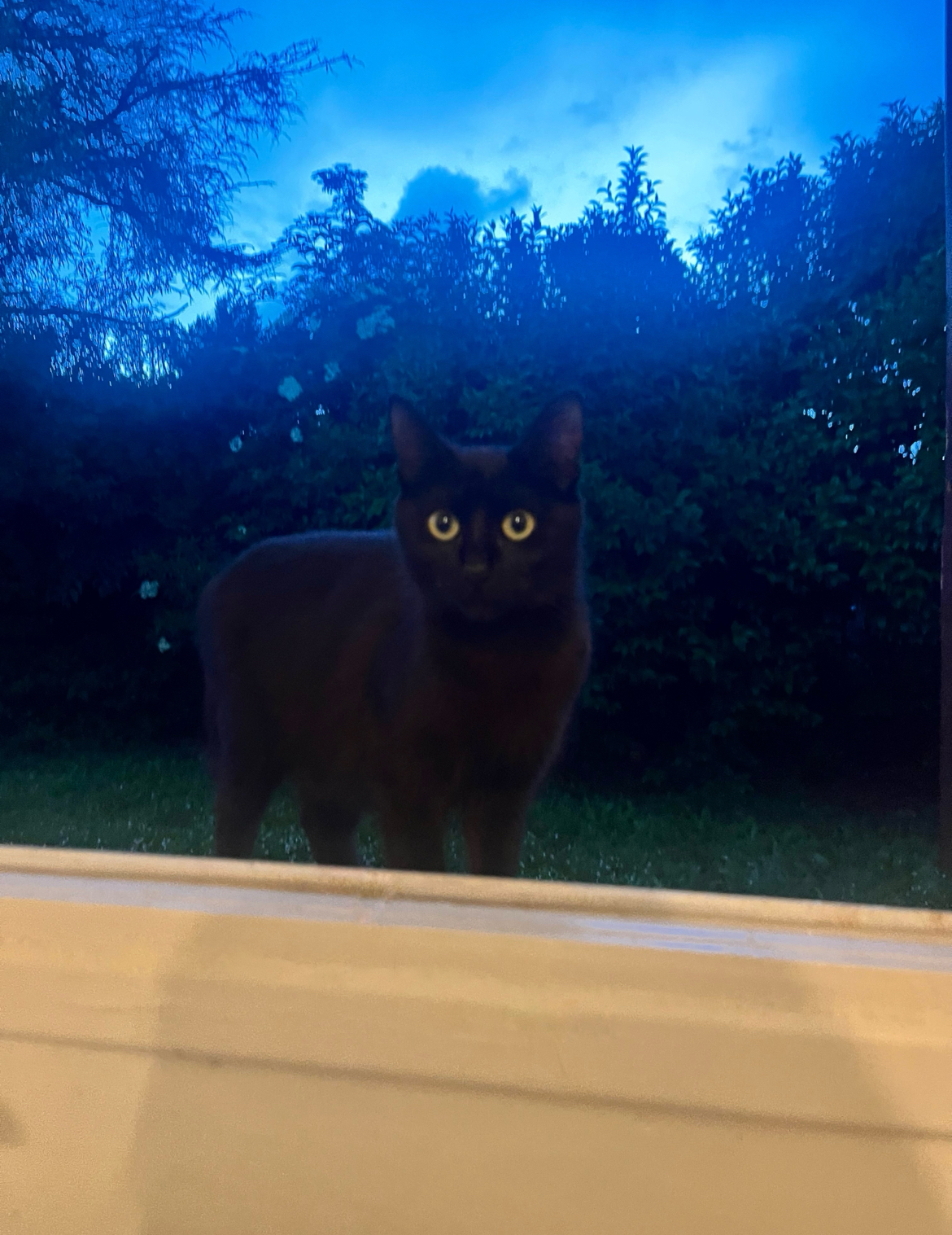 JIJI