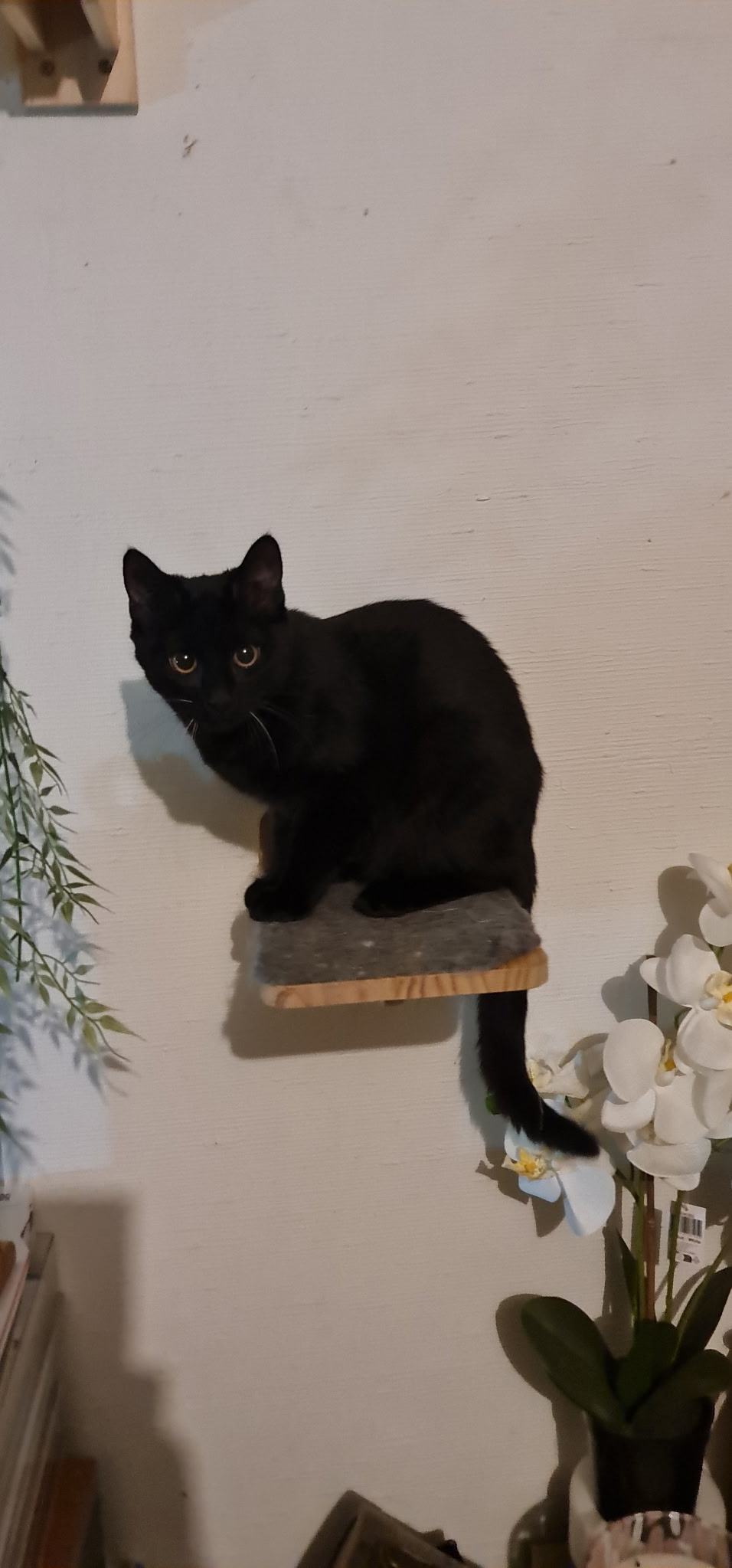 HURRY UP : 12/05/26 adopté