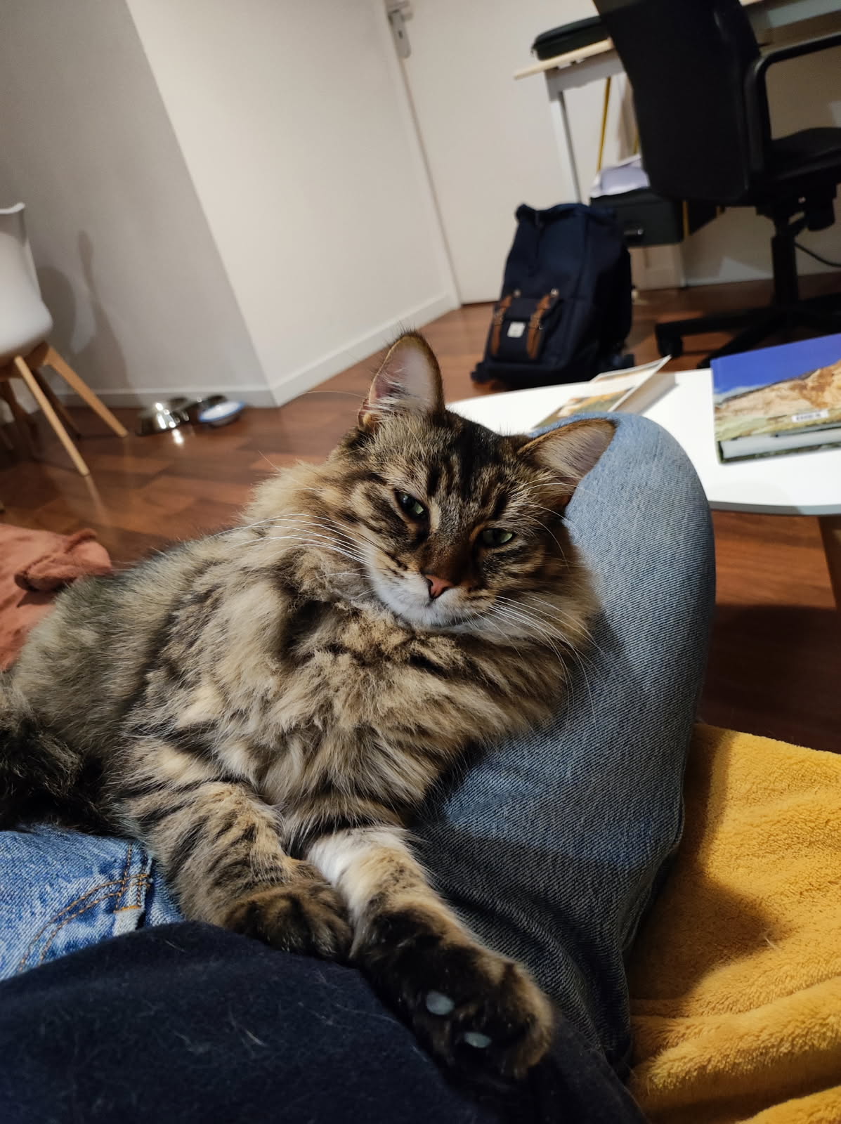 GAHEE  10/04/26 adoptée 
