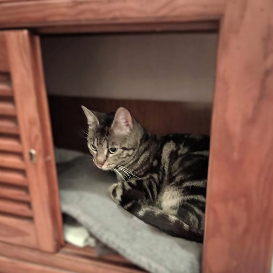 BALTER 14/04/26 adopté 