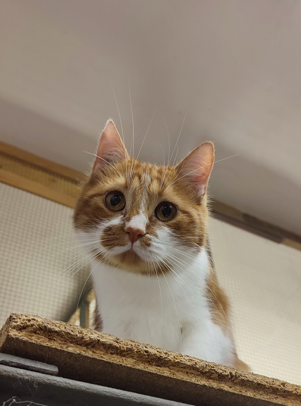 RIVAGE : 05/04/26 adopté