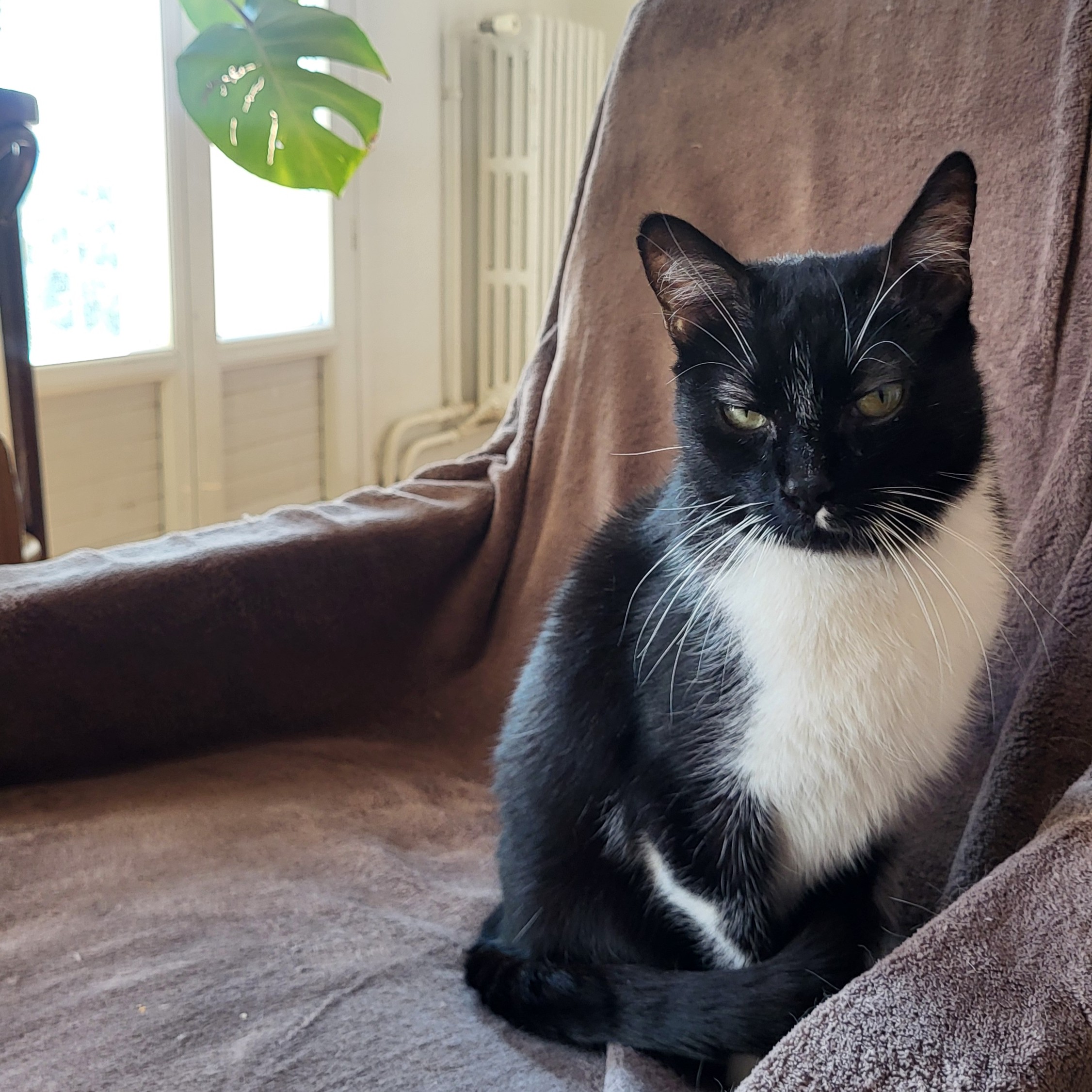 ZORBA 14/06/26 adopté