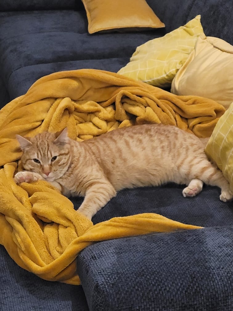 QUERCY  08/02/26 adopté